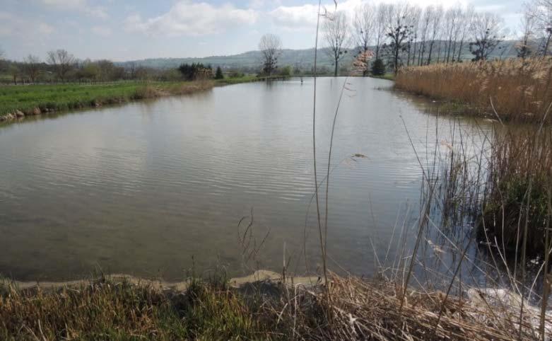 Les étangs Un étang, est une retenue d eau fermée par une digue et possédant un organe de vidange.