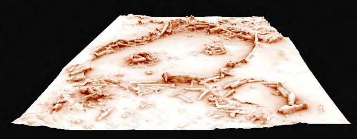 Figure 3. Restitution 3D des structures de la grotte de Bruniquel après la suppression des repousses stalagmitiques récentes.