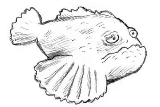 Le poisson pierre 1 er étage Son nom vient de son immobilité, de sa forme et de sa couleur qui font penser à un gros caillou.