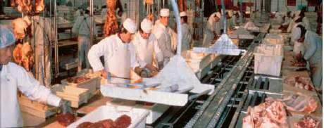 Le traitement de la viande de gros animaux Les salariés des coopératives de traitement de la viande sont surexposés aux contraintes articulaires.