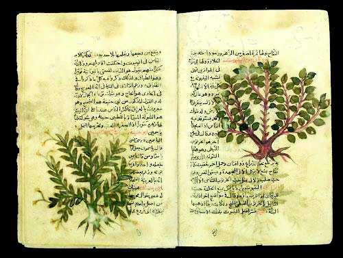 Résultat de recherche d'images pour "l'herbier d'al ghafiqi livre des secrets"