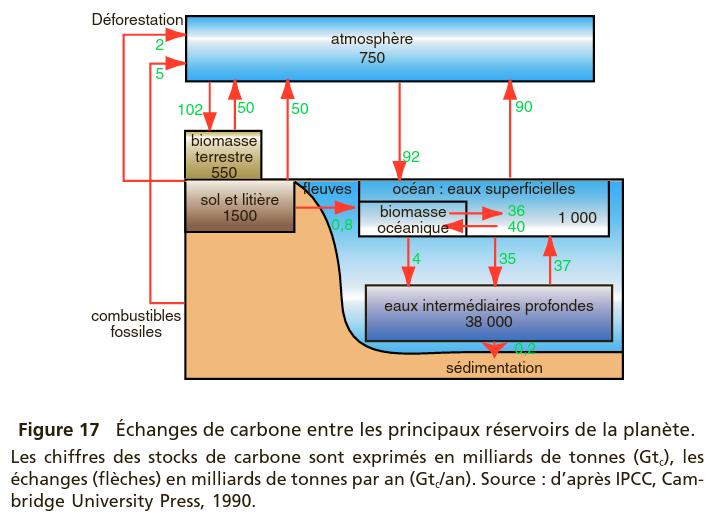 Cycle de carbone Combustion biologique