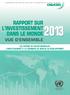 RAPPORT SUR L INVESTISSEMENT DANS LE MONDE2013