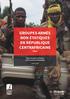 GROUPES ARMÉS NON ÉTATIQUES EN RÉPUBLIQUE CENTRAFRICAINE. Types et sources d armes et de munitions identifiées