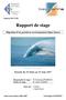 Rapport de stage. Période du 20 Mars au 29 Juin 2007. Migration d un portail en environnement Open Source. Maîtrise IUP NTIC