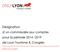 Désignation d un commissaire aux comptes pour la période 2014-2019 de Lyon Tourisme & Congrès. Dossier de consultation