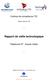 Rapport de veille technologique