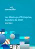 Les Mashups d Entreprise, boosters de CRM. Livre blanc