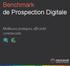 Benchmark de Prospection Digitale. Meilleures pratiques, efficacité commerciale