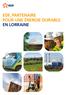 EDF, partenaire. la Lorraine, terre d énergie