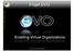 Projet EVO. Enabling Virtual Organizations