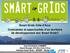 Smart Grids Côte d Azur Contraintes et opportunités d un territoire de développement des Smart Grids?