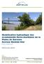 Modélisation hydraulique des écoulements fluvio-maritimes de la Plaine de Garonne Secteur Bastide-Niel E T U D E H Y D R A U L I Q U E